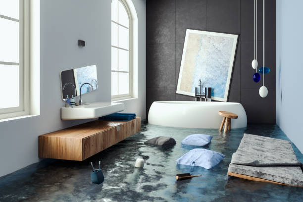 Best Professional water damage repair  in Hobart, WA