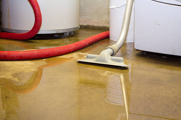 Best Mold removal after water damage  in Hobart, WA