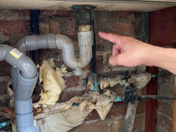 Best Fire Damage Restoration  in Hobart, WA